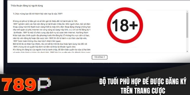 Những Câu Hỏi Thường Gặp Tại 789P Và Giải Đáp Chi Tiết Độ tuổi phù hợp để được đăng ký trên trang cược